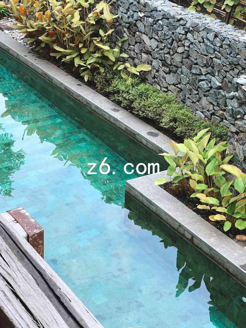 z6.com
